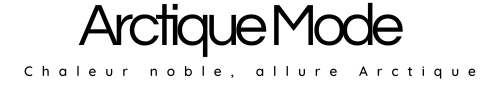 Arctique mode
